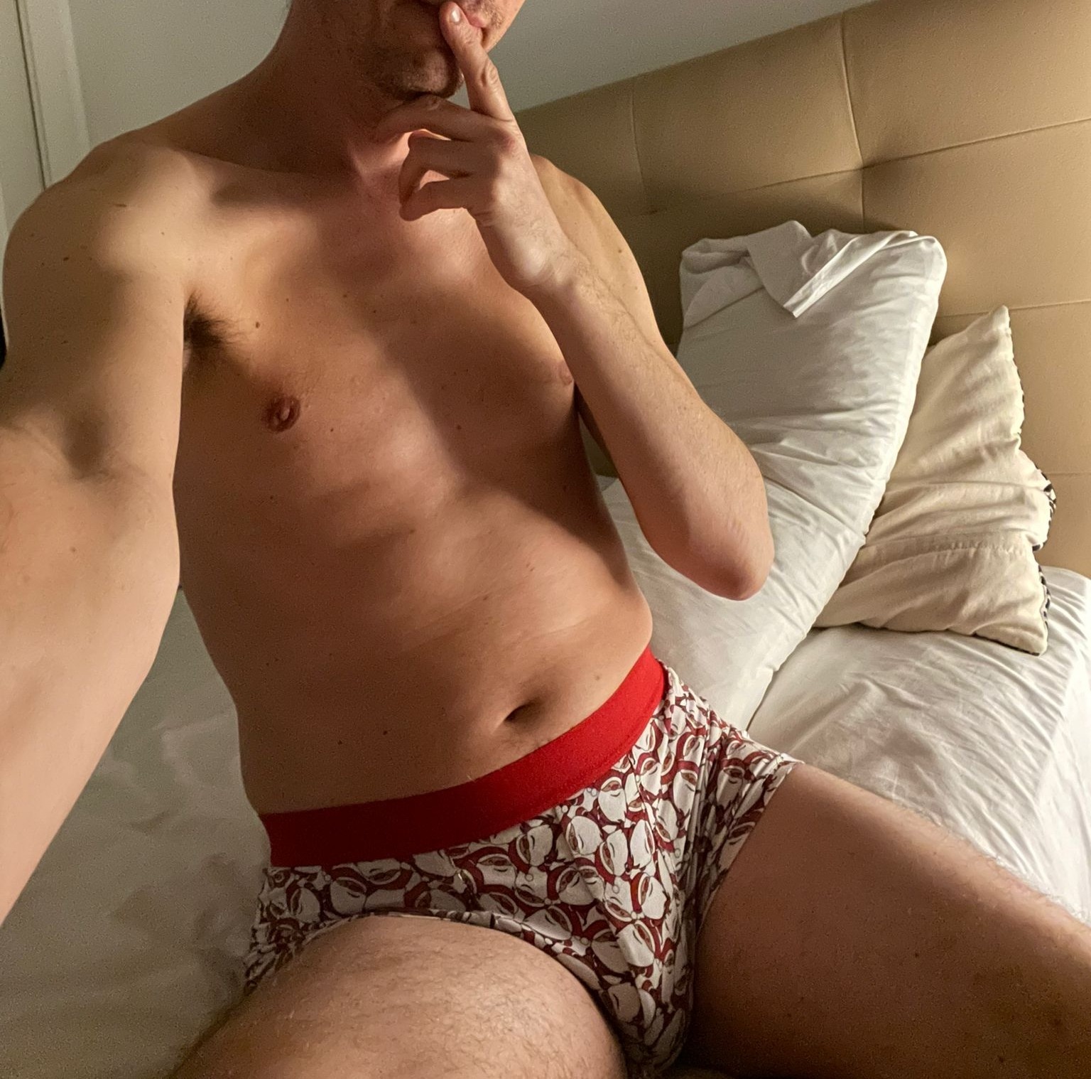Profil de Grégoire, 42 ans, Escort Gay Luxembourg à Remerschen