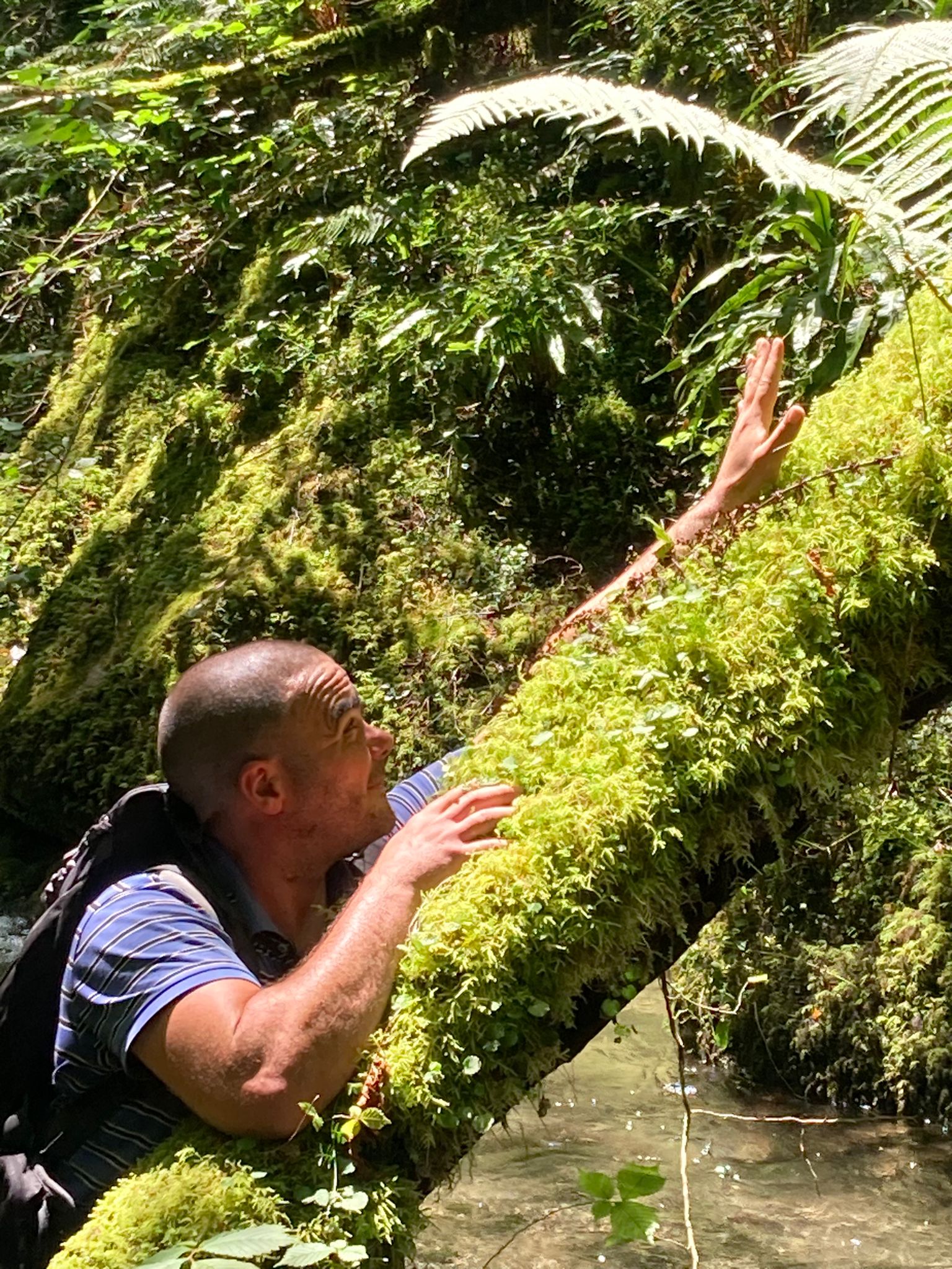 Profil de Pierrot, 41 ans, Escort Gay Luxembourg à Altlinster